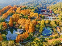 湖北襄阳：一年好景君须记  最是橙黄橘绿时