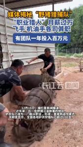 揭秘“野猪猎捕队”：“职业猎人”月薪过万，有团队一年投入百万元