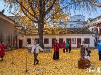 湖北襄阳：一年好景君须记  最是橙黄橘绿时