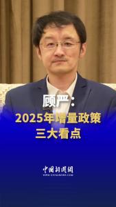 顾严：2025年增量政策三大看点