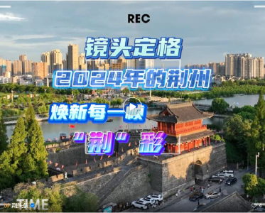 2024镜头定格“荆”彩！来看看有你吗？