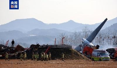 飞机撞击鸟类 起落架无法工作 这类情况非常危险 最新专家分析→