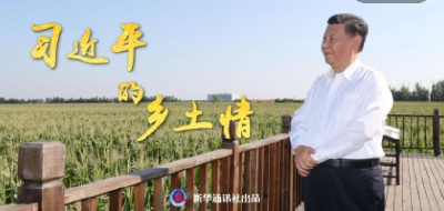 微纪录片｜习近平的乡土情