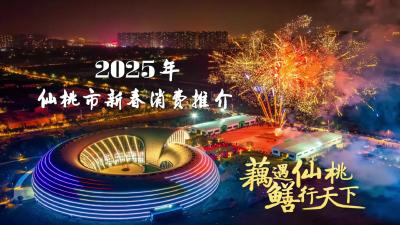 2025仙桃市新春消费推介