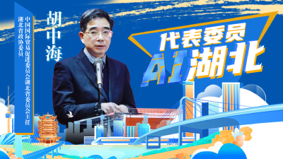 代表委员AI湖北 | 胡中海：奋力打造更具竞争力的内陆开放新高地