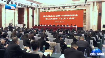 省总工会第十四届委员会第三次全体（扩大）会议召开