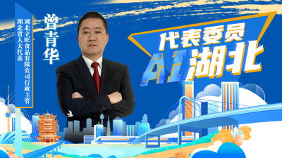 代表委员AI湖北 | 曾青华：优化空间布局 深度融入武汉都市圈