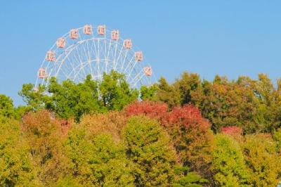 春节假期天气总体较好 武汉春节天气正式发布