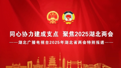 2025，在湖北邂逅AI的万种风情