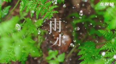 二十四节气风物志——雨水