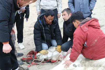 云端锐评丨雕像祭“白龙”  人马皆英雄