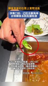 网传顾客用餐时在菜上发现活虫，门店：已经全额免单