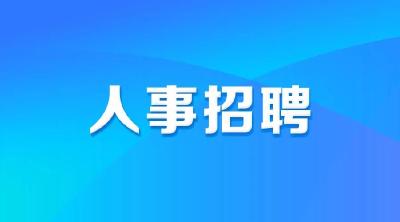 湖北省直事业单位2025年统一公开招聘1149人