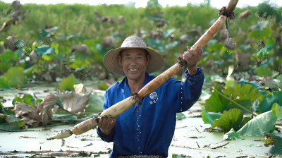 摊牌了！湖北的藕可以做66亿个“哪吒”