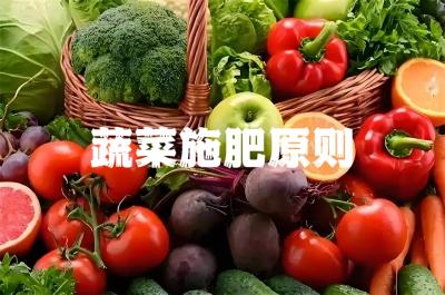 蔬菜施肥，这份指导方案请收下！