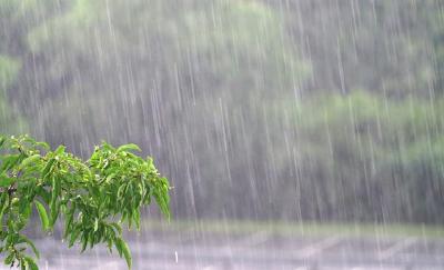 秘鲁一购物中心屋顶坍塌已致8死82伤 或为强降雨所致