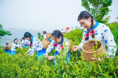 从“一菜一码”到“亿元甲鱼”——大冶21.5亿解锁兴业富民密码