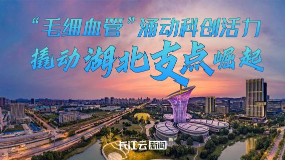 “毛细血管”涌动科创活力，撬动湖北支点崛起