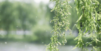 近期高发！有打喷嚏、流鼻涕、眼睛痒等症状，别硬扛