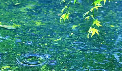 抓紧享受阳光！下周湖北这些地方阴雨天气将上线