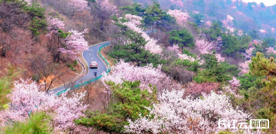 知音湖北的邀约 | 春天里 在随州的历史和山水间撒野狂欢