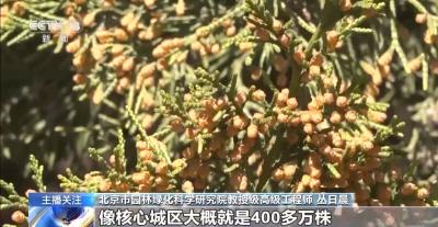 花粉过敏高峰期 有效防护攻略请查收