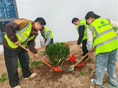 植绿添新守初心  共建合武家园情