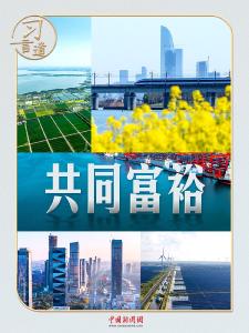 习言道｜全国两会，习近平再谈共同富裕