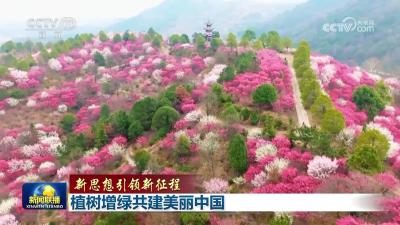 【新思想引领新征程】植树增绿共建美丽中国