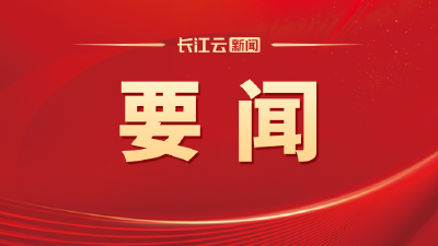 湖北代表团举行全体会议审议政府工作报告 肖捷铁凝王忠林李殿勋等作审议发言