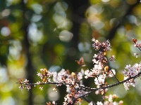 图集 | 踏青赏花品春味