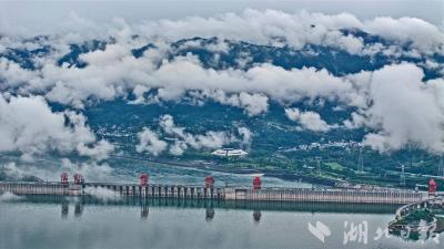 来自湖北的请柬丨去年接待游客近224万人次 壮美三峡展开生态画卷