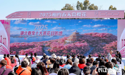 2025“相约春天赏樱花”知音湖北赏花游活动启动