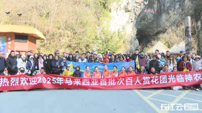 神农架：马来西亚百人赏花团来啦！