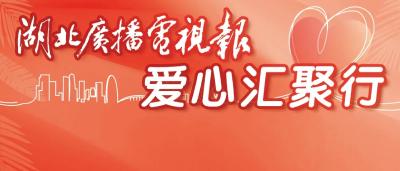 康乐里社区：把环保潮玩带到居民家门口