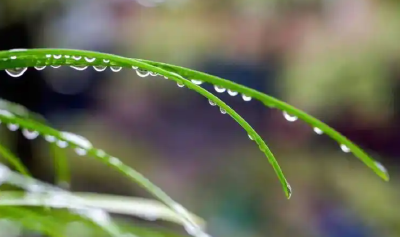 湖北明日局部地区雨水来袭 后天最高气温或冲34℃