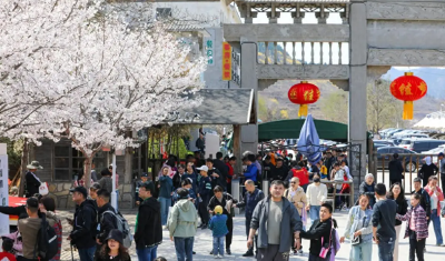 4月5日，全社会跨区域人员流动量近2.5亿人次