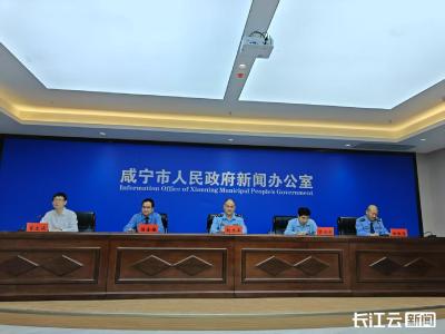 咸宁公布2024年保护知识产权“成绩单” 