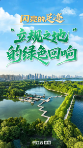 闪亮的足迹|“立规之地”的绿色回响 