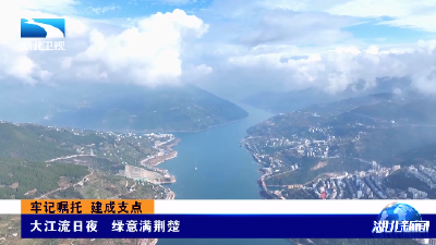 牢记嘱托 建成支点丨大江流日夜 绿意满荆楚