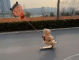 “小哪吒”“小敖丙”被集体查处！提醒：危险，别买