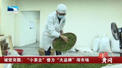 破壁突围：“小茶企”借力“大品牌”闯市场