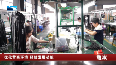 咸宁通城：优化营商环境 释放发展动能