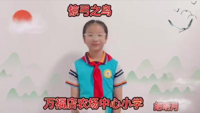 随州市-随县万福店农场中心小学-《惊弓之鸟》-胡明月