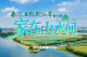 荆州：乡村蝶变“绿生金”