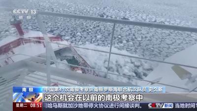 涉及海冰研究、海洋生物等 我国南极科考有了新发现