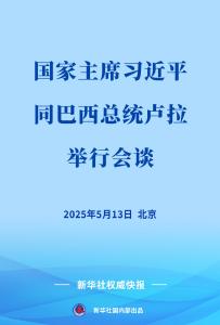新华社权威快报 | 习近平同巴西总统卢拉会谈