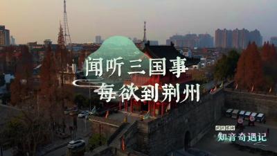 知音奇遇记