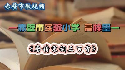 咸宁市-赤壁市实验小学-《唐诗宋词三百首》诵读感悟-高梓墨