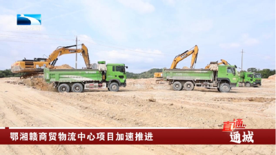 咸宁通城：鄂湘赣商贸物流中心项目加速推进